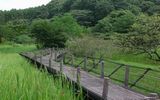 かりこぼうず大橋２