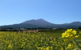 春の高千穂峰