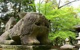 綾神社の狛犬